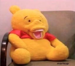 PELUCHE WINNIE THE POOH ROVINA INFANZIE